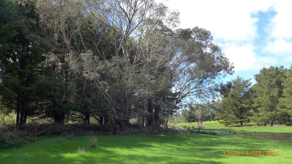Helen'S Homestead Enfield エクステリア 写真