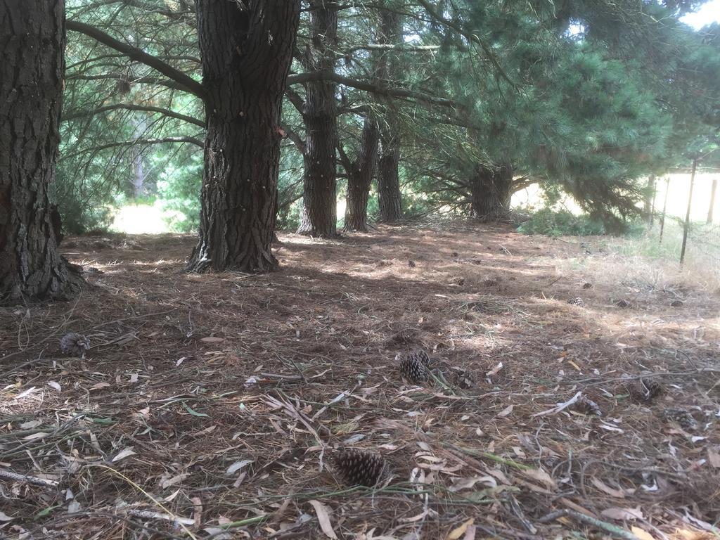 Helen'S Homestead Enfield エクステリア 写真