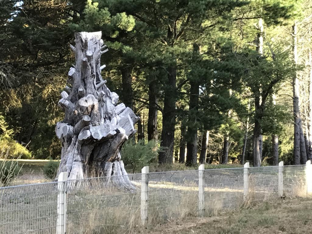Helen'S Homestead Enfield エクステリア 写真