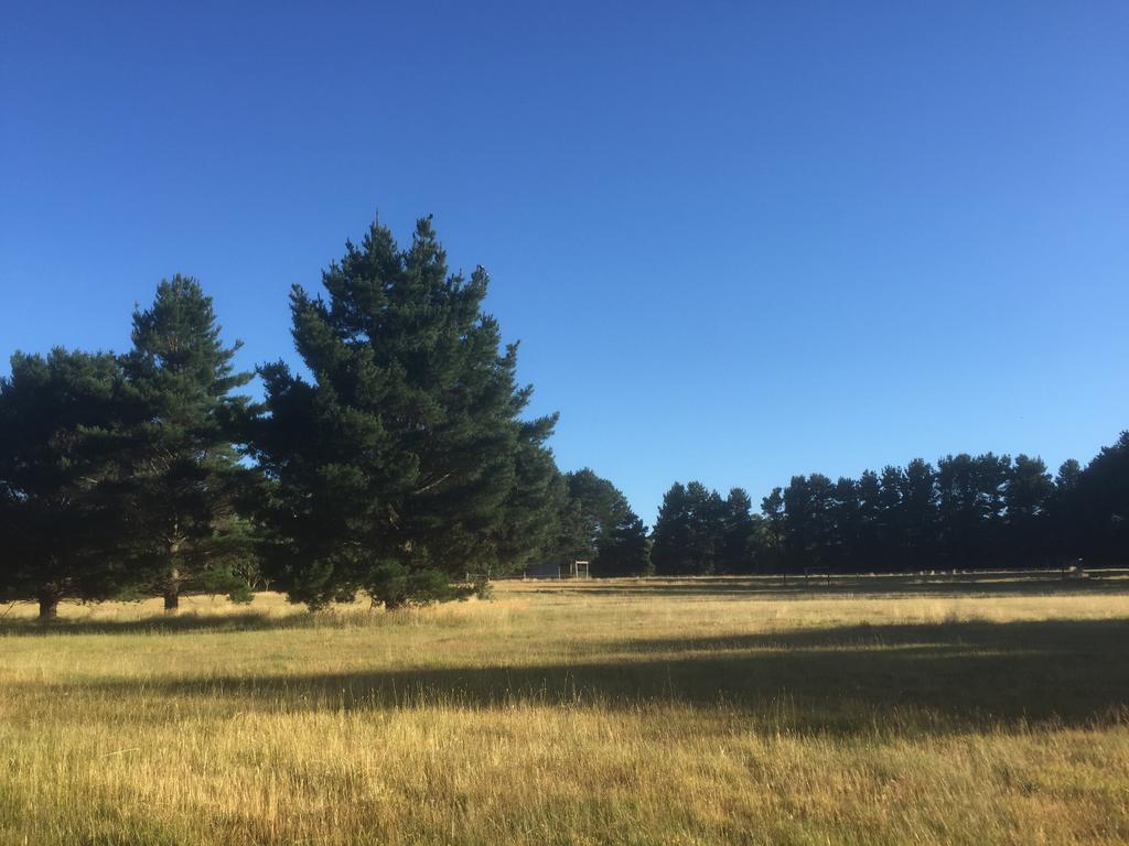 Helen'S Homestead Enfield エクステリア 写真