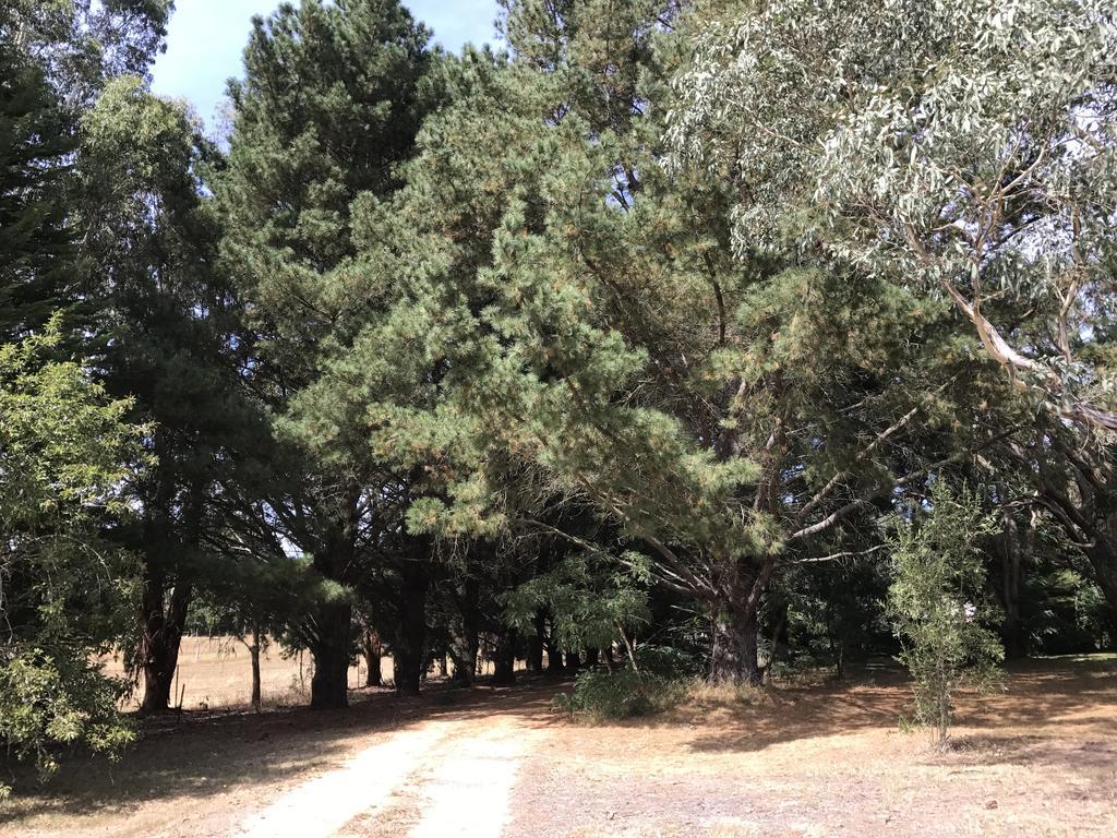 Helen'S Homestead Enfield エクステリア 写真