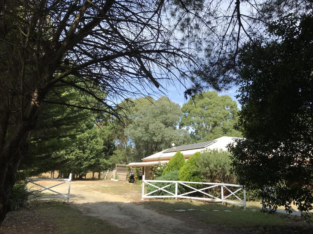 Helen'S Homestead Enfield エクステリア 写真