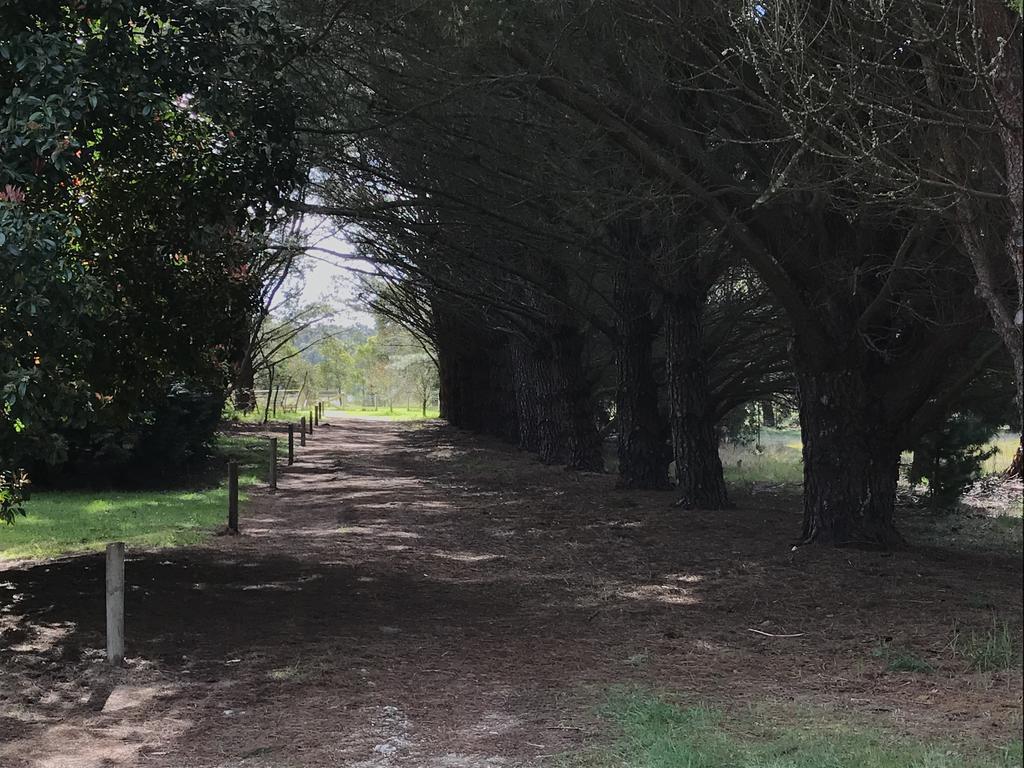 Helen'S Homestead Enfield エクステリア 写真