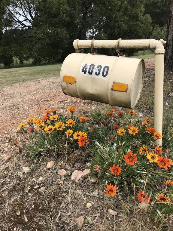 Helen'S Homestead Enfield エクステリア 写真