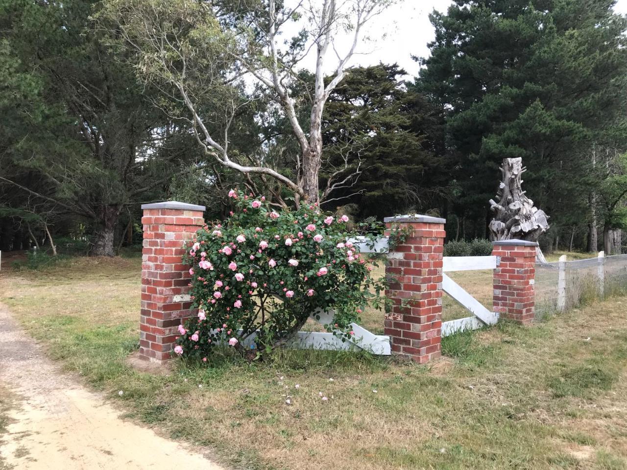 Helen'S Homestead Enfield エクステリア 写真